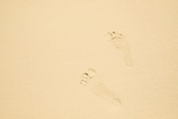 Footprints of a man walking on the sand beach.