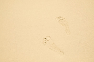Footprints of a man walking on the sand beach.