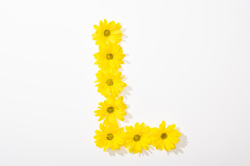 top view of yellow daisies arranged in letter L on white background