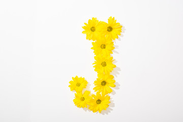 top view of yellow daisies arranged in letter J on white background
