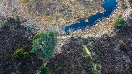 aerial view of a landscape