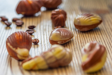 Belgian chocolate shell-shaped on a light wooden background.