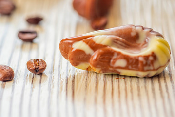 Belgian chocolate shell-shaped on a light wooden background.