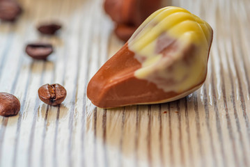 Belgian chocolate shell-shaped on a light wooden background.
