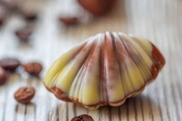 Belgian chocolate shell-shaped on a light wooden background.