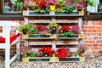 Naklejka premium Flower shop in the Dutch Quarter in Potsdam, Germany