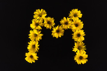 top view of yellow daisies arranged in letter M isolated on black