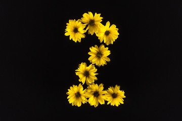 top view of yellow daisies arranged in number 2 isolated on black