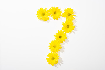 Obraz premium top view of yellow daisies arranged in number 7 on white background