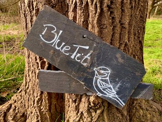 Slate sign with the word Blue Tit and an illustration of a bird. The sign is nailed to a chopped in half tree trunk set against a grass background. Mitcham, England