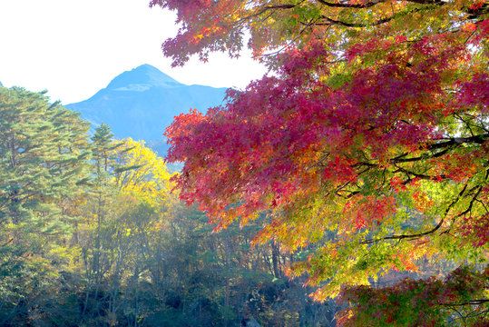 会津磐梯山images Browse 304 Stock Photos Vectors And Video Adobe Stock