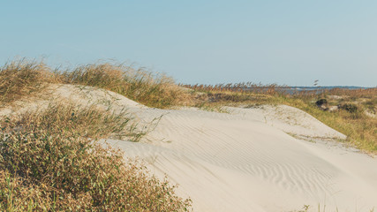 Sand dunes on a sunny day on Jekyll Island, Georgia.