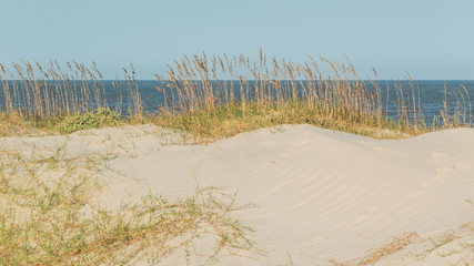 Sand dunes overlooking the ocean on a sunny day on Jekyll Island, Georgia.