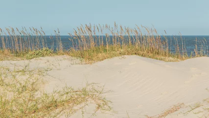 Peel and stick wall murals Sand dunes overlooking the ocean on a sunny day on Jekyll Island, Georgia.