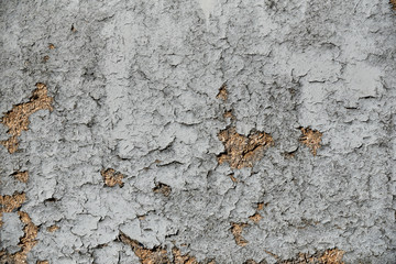 Gray old paint on wood