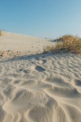 Waves in the beach sand dunes, Jekyll Island, Georgia.