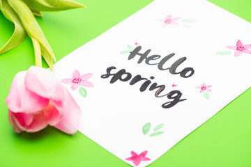 Selective focus of pink tulip and card with hello spring lettering on green background