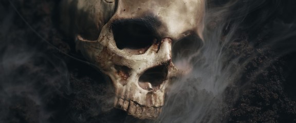 Skull of a dead man in on the ground