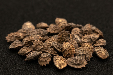 Onobrychis arenaria (Kit.)DC. ripe seeds on a black background