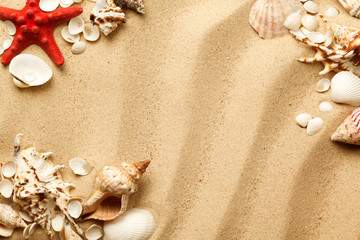 Fototapeta na wymiar Seashells And Starfish On Sand Background