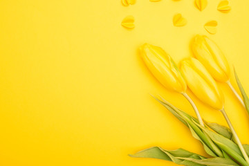 Top view of tulips and decorative hearts on yellow background, spring concept