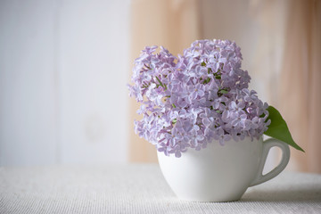 Room interior with gentle purple lilacs flower blossom in tea cup on table and curtain hanging on wall, tender romantic spring home decor in morning light, decorating house with syringa, copy space.