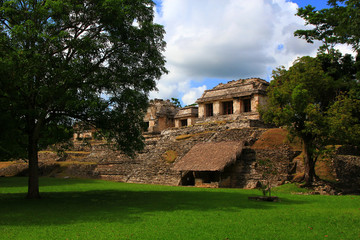 Fototapeta na wymiar Palenque is the Maya city in southern Mexico