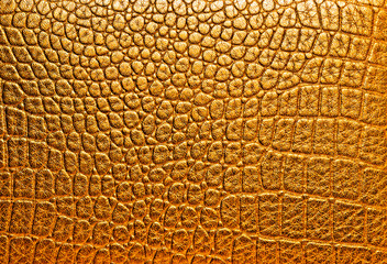 Texture of crocodile skin, golden color.