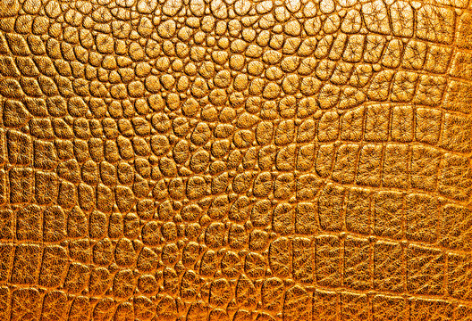 Texture of crocodile skin, golden color.