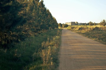 Carretera, cielo, naturaleza, fábrica antigua