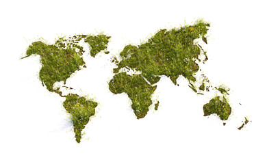 World Map grass field - 3D illustration