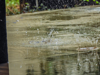 Taking advantage of the rain to capture drops of water at the right time