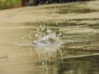 Taking advantage of the rain to capture drops of water at the right time