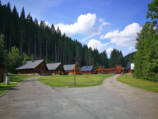 Cottages near the forest, surrounded by trees, in summer