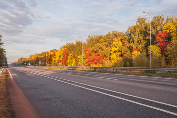 Colorful forest with green, red and golden colors near the highway. Sunny morning