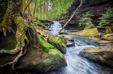 Parker Falls And Tree Roots In Bankhead National Forest