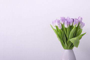 Purple tulips flowers bouquet in vase on grey background. Women, Mothers, Valentine's Day, birthday, spring greeting card. Copy space.