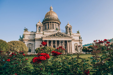 Saint Isaac's Cathedral in background and red blossoming roses in foreground. Summer in Saint Petersburg, Russia.
