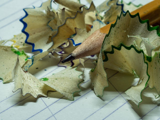 sharpened pencil and wood shavings