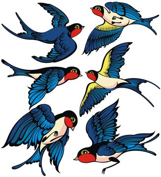 Set of the swallow icons. Design elements for poster, t-shirt