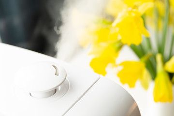 Living room humidifier for healthy hair in a natural light with yellow flowers in a background