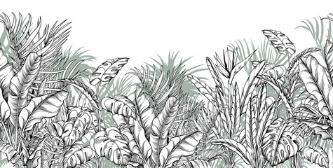 Cotton fabric Seamless border with tropical palm, banana and monstera leaves.