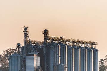 Agricultural installation of silver silos used for drying seeds and corn. The grain elevator used for storage illuminated by the warm setting sun.