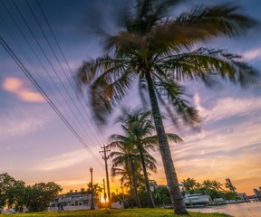 sunset palm sun beach tree miami florida sea dusk silhouette nature blue water island beautiful coast © Alberto GV PHOTOGRAP