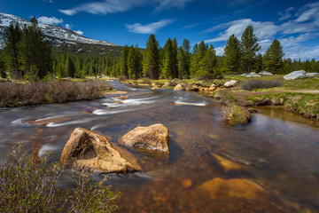 Dana Fork Tuolumne River, mountain river in the Sierra Nevada, California, USA.