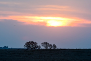 Pampas sunset landscape, La pampa, Argentina