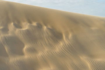Dune of Pilat 15