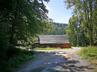 Cottage by the forest road, surrounded by trees and forest