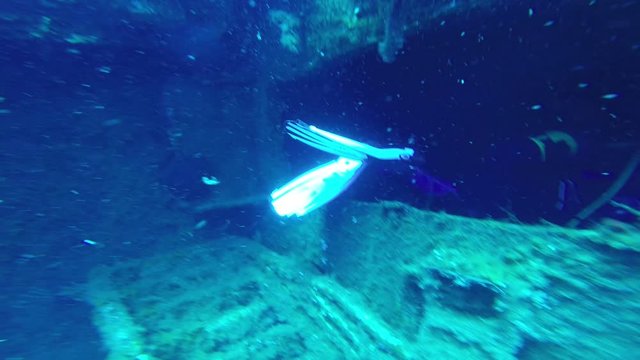 Dive-In