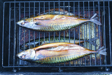 fish on the grill